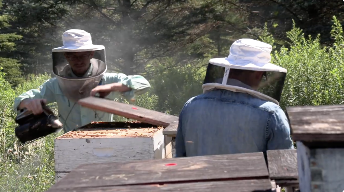 Beekeepers using cheese 640s for hives